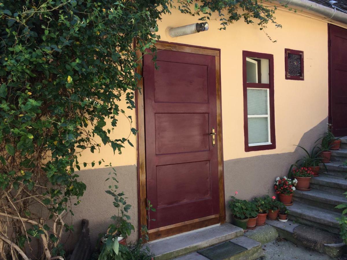 Iony Apartament Сібіу Екстер'єр фото